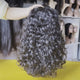 Brazilian Virgin Hair Water Wave Bob Installation View - 5X5 HD closure bob demonstrating secure fit with adjustable straps and front/back combs visible in detailed construction shot. Pre-plucked natural hairline creates realistic appearance without glue when properly installed for comfortable all-d
