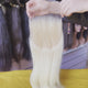 Brazilian Virgin Hair 5x5 Closure Value Package - Complete 5x5 inch HD lace closure piece in straight pin-strand texture (#613 platinum blonde). Versatile crown coverage solution suitable for extensions, wigs, or direct installation. Free shipping worldwide via DHL/Fedex in 3-4 workdays with top gra